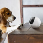 EZVIZ H6 3K Smart Home Camera - Image 4