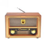 YUEGAN retro radio