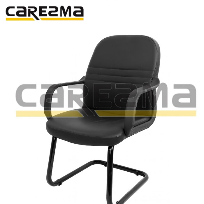 VISITOR LEATHER CHAIR LINES INTERNATIONAL - Image 2