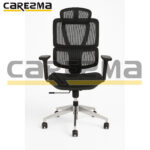 PRESIDENT CHAIR