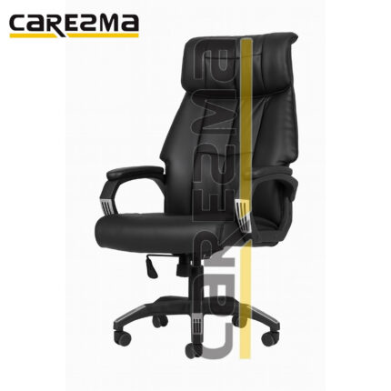 KINGS LEATHER CHAIR MEDICAL